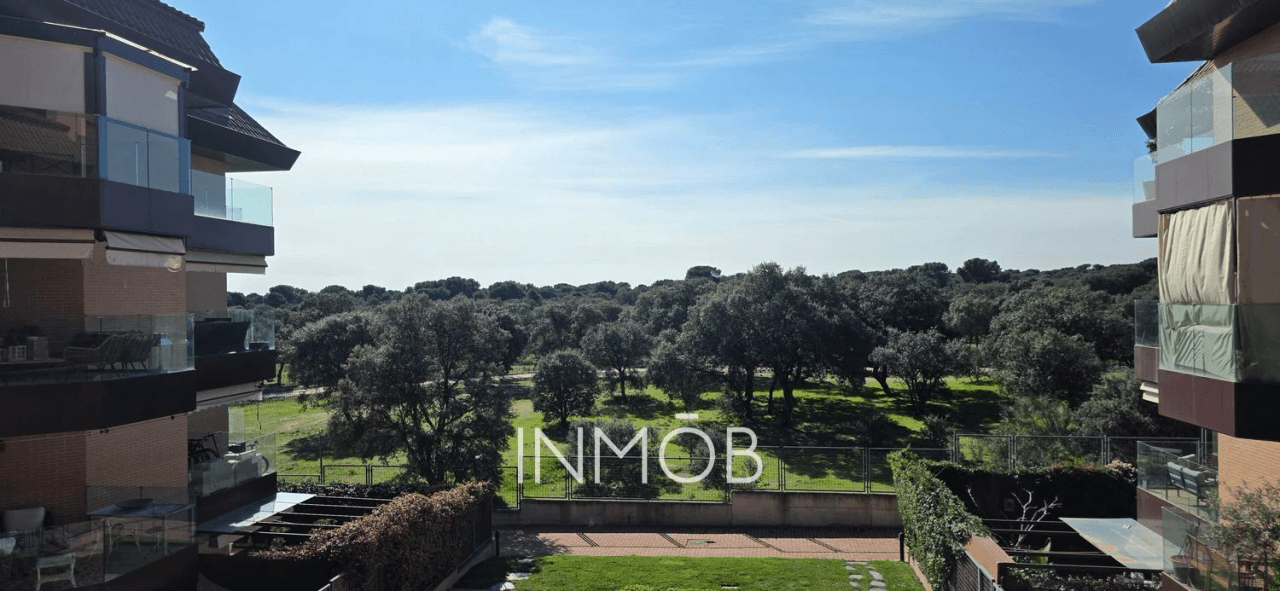 VIVIR VIENDO UN MONTE DE ENCINAS - PISO CON MARAVILLOSA TERRAZA