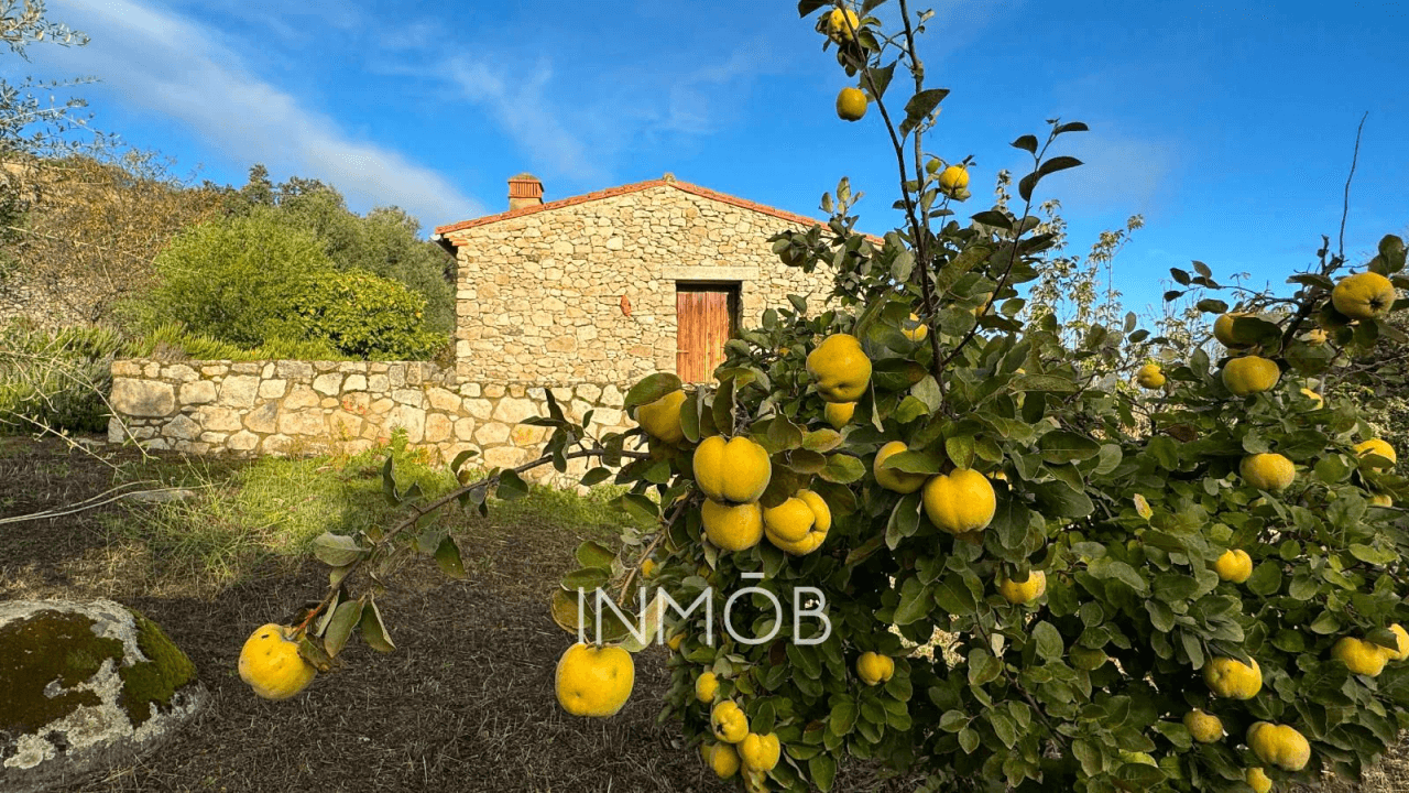 CASA DE CAMPO EN TRUJILLO - 3 CONSTRUCCIONES - RUSTICA Y REHABILITADA CON VISTAS AL CASTILLO DE TRUJILLO
