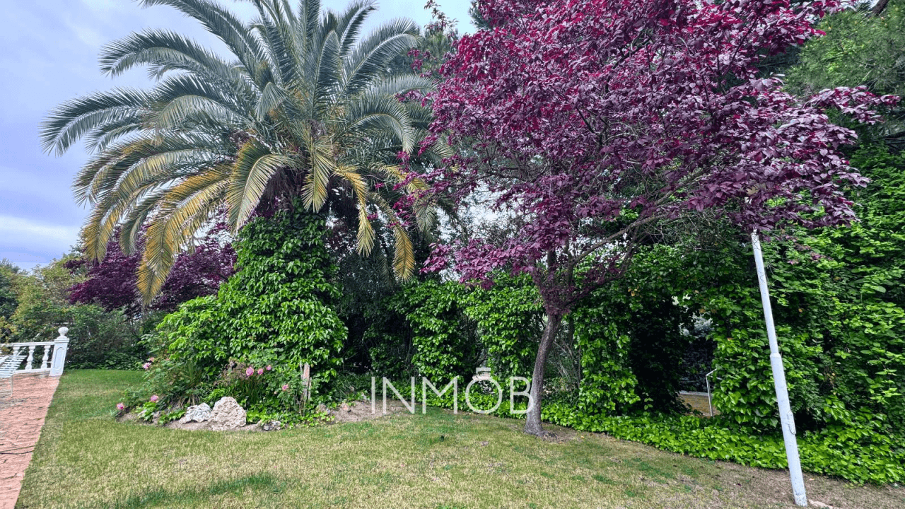 Chalet independiente en GRAN PARCELA SEGREGABLE de 3.200mt BONANZA